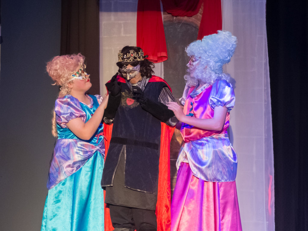 Cinderella the Pantomime